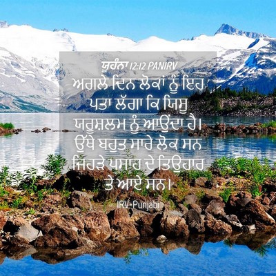 Picture 04 - ਯੂਹੰਨਾ 12:12 PANIRV - ਅਗਲੇ ਦਿਨ ਲੋਕਾਂ ਨੂੰ - Bible Verse Picture