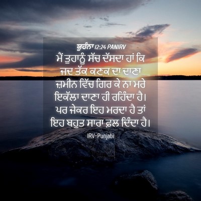 Picture 04 - ਯੂਹੰਨਾ 12:24 PANIRV - ਮੈਂ ਤੁਹਾਨੂੰ ਸੱਚ - Bible Verse Picture
