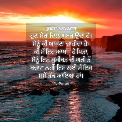 Picture 04 - ਯੂਹੰਨਾ 12:27 PANIRV - ਹੁਣ ਮੇਰਾ ਦਿਲ - Bible Verse Picture