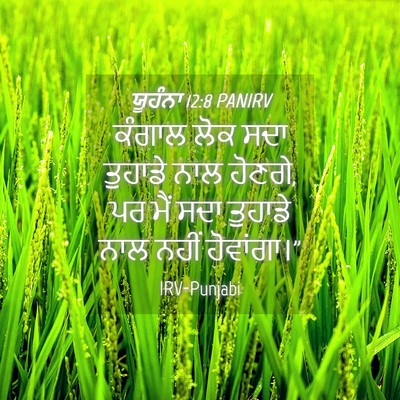 Picture 04 - ਯੂਹੰਨਾ 12:8 PANIRV - ਕੰਗਾਲ ਲੋਕ ਸਦਾ - Bible Verse Picture