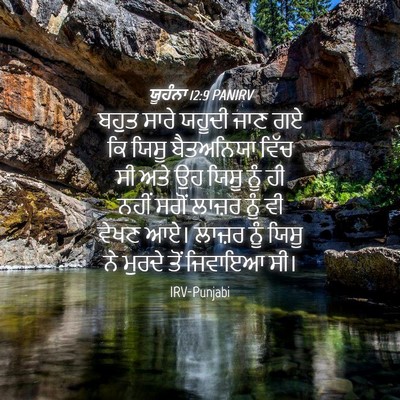 Picture 04 - ਯੂਹੰਨਾ 12:9 PANIRV - ਬਹੁਤ ਸਾਰੇ ਯਹੂਦੀ - Bible Verse Picture