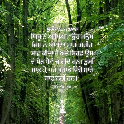 Picture 04 - ਯੂਹੰਨਾ 13:10 PANIRV - ਯਿਸੂ ਨੇ ਆਖਿਆ, “ਉਹ - Bible Verse Picture