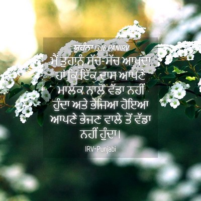 Picture 04 - ਯੂਹੰਨਾ 13:16 PANIRV - ਮੈਂ ਤੁਹਾਨੂੰ - Bible Verse Picture