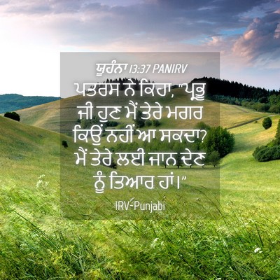 Picture 04 - ਯੂਹੰਨਾ 13:37 PANIRV - ਪਤਰਸ ਨੇ ਕਿਹਾ, - Bible Verse Picture