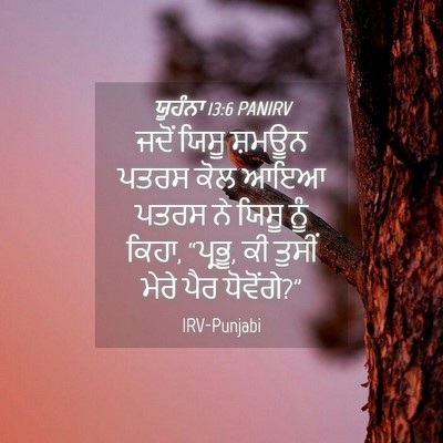 Picture 04 - ਯੂਹੰਨਾ 13:6 PANIRV - ਜਦੋਂ ਯਿਸੂ ਸ਼ਮਊਨ - Bible Verse Picture