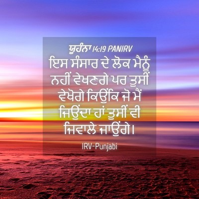 Picture 04 - ਯੂਹੰਨਾ 14:19 PANIRV - ਇਸ ਸੰਸਾਰ ਦੇ ਲੋਕ - Bible Verse Picture