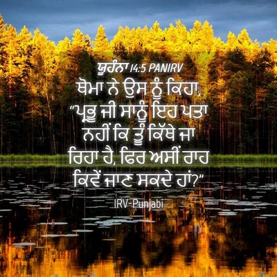 Picture 04 - ਯੂਹੰਨਾ 14:5 PANIRV - ਥੋਮਾ ਨੇ ਉਸ ਨੂੰ - Bible Verse Picture