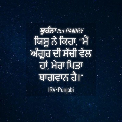 Picture 04 - ਯੂਹੰਨਾ 15:1 PANIRV - ਯਿਸੂ ਨੇ ਕਿਹਾ, “ਮੈਂ - Bible Verse Picture