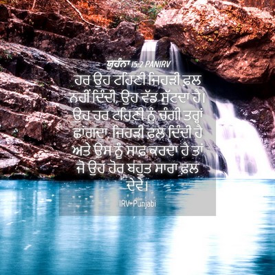 Picture 04 - ਯੂਹੰਨਾ 15:2 PANIRV - ਹਰ ਉਹ ਟਹਿਣੀ ਜਿਹੜੀ - Bible Verse Picture