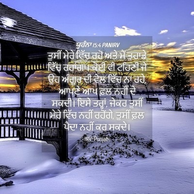 Picture 04 - ਯੂਹੰਨਾ 15:4 PANIRV - ਤੁਸੀਂ ਮੇਰੇ ਵਿੱਚ - Bible Verse Picture