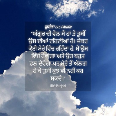 Picture 04 - ਯੂਹੰਨਾ 15:5 PANIRV - “ਅੰਗੂਰ ਦੀ ਵੇਲ ਮੈਂ - Bible Verse Picture