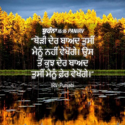 Picture 04 - ਯੂਹੰਨਾ 16:16 PANIRV - “ਥੋੜੀ ਦੇਰ ਬਾਅਦ - Bible Verse Picture