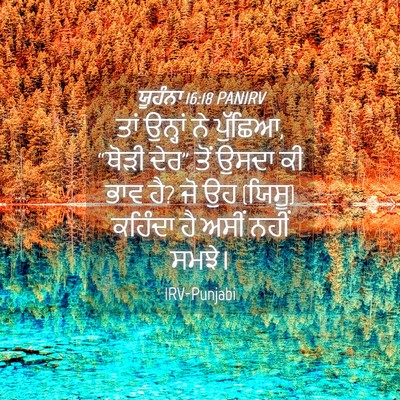 Picture 04 - ਯੂਹੰਨਾ 16:18 PANIRV - ਤਾਂ ਉਨ੍ਹਾਂ ਨੇ - Bible Verse Picture