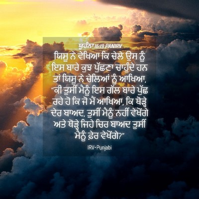 Picture 04 - ਯੂਹੰਨਾ 16:19 PANIRV - ਯਿਸੂ ਨੇ ਵੇਖਿਆ ਕਿ - Bible Verse Picture