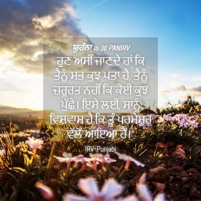 Picture 04 - ਯੂਹੰਨਾ 16:30 PANIRV - ਹੁਣ ਅਸੀਂ ਜਾਣਦੇ ਹਾਂ - Bible Verse Picture