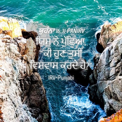 Picture 04 - ਯੂਹੰਨਾ 16:31 PANIRV - ਯਿਸੂ ਨੇ ਪੁੱਛਿਆ, “ਕੀ - Bible Verse Picture