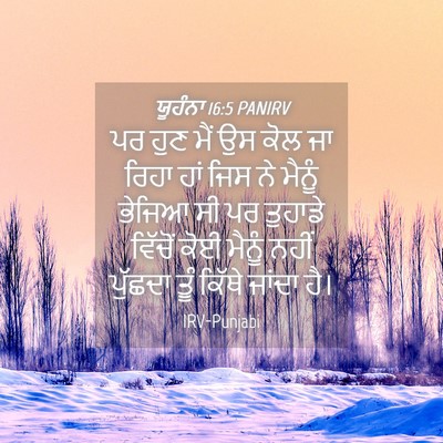 Picture 04 - ਯੂਹੰਨਾ 16:5 PANIRV - ਪਰ ਹੁਣ ਮੈਂ ਉਸ ਕੋਲ - Bible Verse Picture