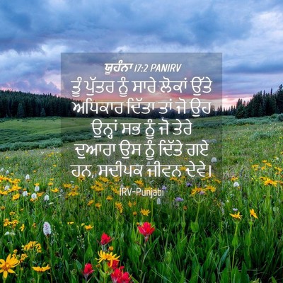 Picture 04 - ਯੂਹੰਨਾ 17:2 PANIRV - ਤੂੰ ਪੁੱਤਰ ਨੂੰ ਸਾਰੇ - Bible Verse Picture