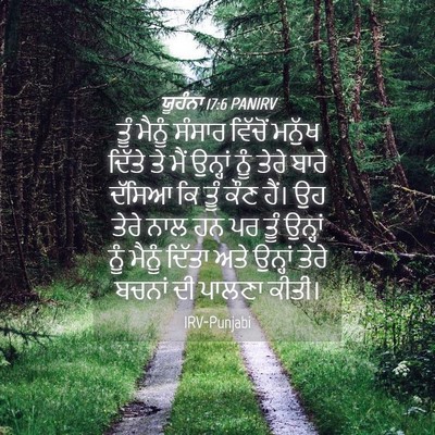 Picture 04 - ਯੂਹੰਨਾ 17:6 PANIRV - ਤੂੰ ਮੈਨੂੰ ਸੰਸਾਰ - Bible Verse Picture