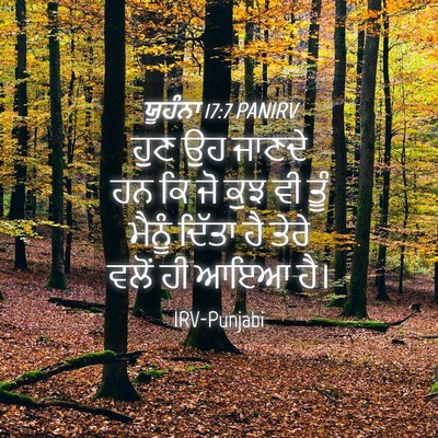 Picture 04 - ਯੂਹੰਨਾ 17:7 PANIRV - ਹੁਣ ਉਹ ਜਾਣਦੇ ਹਨ ਕਿ - Bible Verse Picture