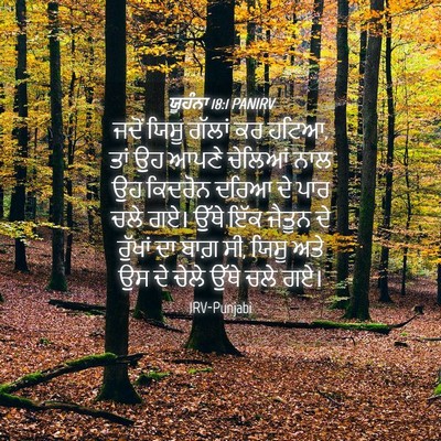 Picture 04 - ਯੂਹੰਨਾ 18:1 PANIRV - ਜਦੋਂ ਯਿਸੂ ਗੱਲਾਂ ਕਰ - Bible Verse Picture