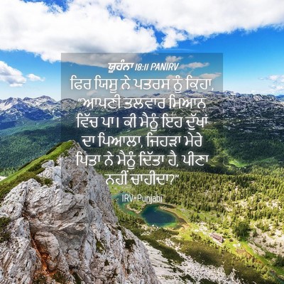 Picture 04 - ਯੂਹੰਨਾ 18:11 PANIRV - ਫਿਰ ਯਿਸੂ ਨੇ ਪਤਰਸ - Bible Verse Picture