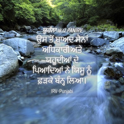 Picture 04 - ਯੂਹੰਨਾ 18:12 PANIRV - ਉਸ ਤੋਂ ਬਾਅਦ ਸੈਨਾਂ - Bible Verse Picture
