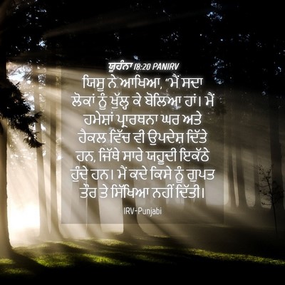Picture 04 - ਯੂਹੰਨਾ 18:20 PANIRV - ਯਿਸੂ ਨੇ ਆਖਿਆ, “ਮੈਂ - Bible Verse Picture
