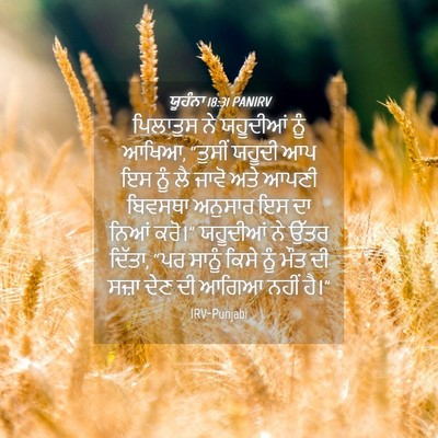Picture 04 - ਯੂਹੰਨਾ 18:31 PANIRV - ਪਿਲਾਤੁਸ ਨੇ - Bible Verse Picture