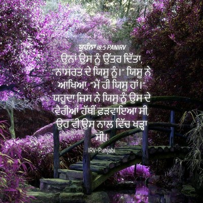 Picture 04 - ਯੂਹੰਨਾ 18:5 PANIRV - ਉਨਾਂ ਉਸ ਨੂੰ ਉੱਤਰ - Bible Verse Picture