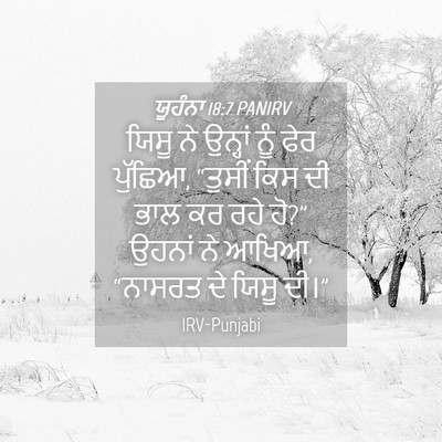 Picture 04 - ਯੂਹੰਨਾ 18:7 PANIRV - ਯਿਸੂ ਨੇ ਉਨ੍ਹਾਂ ਨੂੰ - Bible Verse Picture