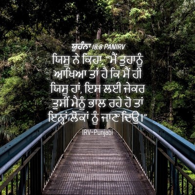 Picture 04 - ਯੂਹੰਨਾ 18:8 PANIRV - ਯਿਸੂ ਨੇ ਕਿਹਾ, “ਮੈਂ - Bible Verse Picture