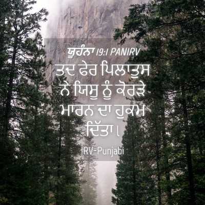 Picture 04 - ਯੂਹੰਨਾ 19:1 PANIRV - ਤਦ ਫੇਰ ਪਿਲਾਤੁਸ ਨੇ - Bible Verse Picture