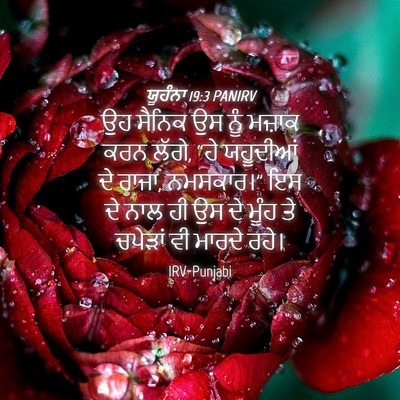 Picture 04 - ਯੂਹੰਨਾ 19:3 PANIRV - ਉਹ ਸੈਨਿਕ ਉਸ ਨੂੰ - Bible Verse Picture