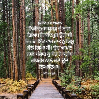 Picture 04 - ਯੂਹੰਨਾ 19:39 PANIRV - ਨਿਕੋਦਿਮੁਸ ਯੂਸੁਫ਼ - Bible Verse Picture