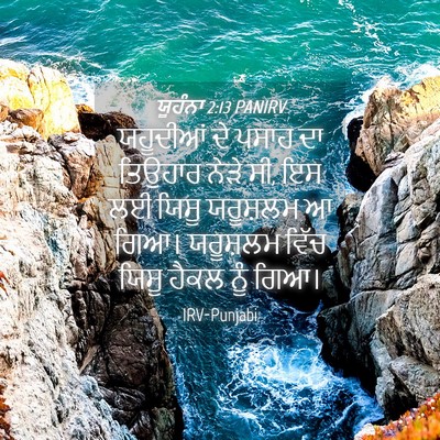 Picture 04 - ਯੂਹੰਨਾ 2:13 PANIRV - ਯਹੂਦੀਆਂ ਦੇ ਪਸਾਹ ਦਾ - Bible Verse Picture