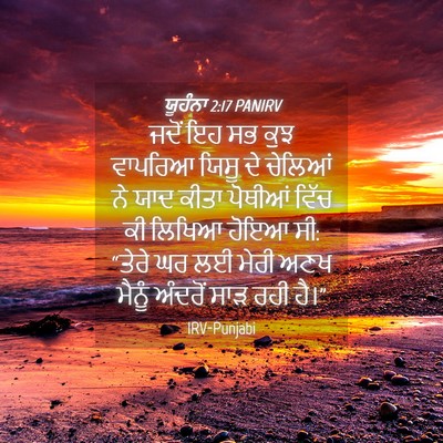 Picture 04 - ਯੂਹੰਨਾ 2:17 PANIRV - ਜਦੋਂ ਇਹ ਸਭ ਕੁਝ - Bible Verse Picture