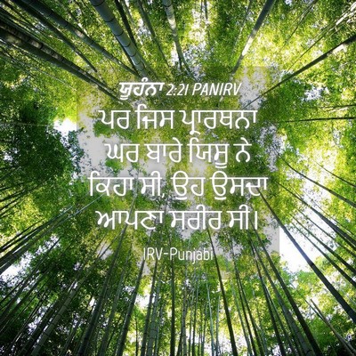 Picture 04 - ਯੂਹੰਨਾ 2:21 PANIRV - ਪਰ ਜਿਸ ਪ੍ਰਾਰਥਨਾ ਘਰ - Bible Verse Picture