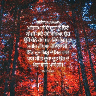 Picture 04 - ਯੂਹੰਨਾ 20:12 PANIRV - ਮਰਿਯਮ ਨੇ ਦੋ ਦੂਤਾਂ - Bible Verse Picture