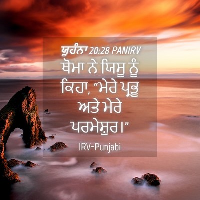 Picture 04 - ਯੂਹੰਨਾ 20:28 PANIRV - ਥੋਮਾ ਨੇ ਯਿਸੂ ਨੂੰ - Bible Verse Picture