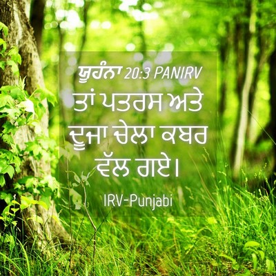 Picture 04 - ਯੂਹੰਨਾ 20:3 PANIRV - ਤਾਂ ਪਤਰਸ ਅਤੇ ਦੂਜਾ - Bible Verse Picture