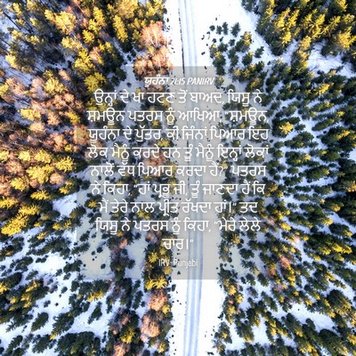Picture 04 - ਯੂਹੰਨਾ 21:15 PANIRV - ਉਨ੍ਹਾਂ ਦੇ ਖਾ ਹਟਣ - Bible Verse Picture