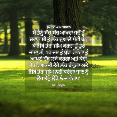Picture 04 - ਯੂਹੰਨਾ 21:18 PANIRV - ਮੈਂ ਤੈਨੂੰ ਸੱਚ-ਸੱਚ - Bible Verse Picture