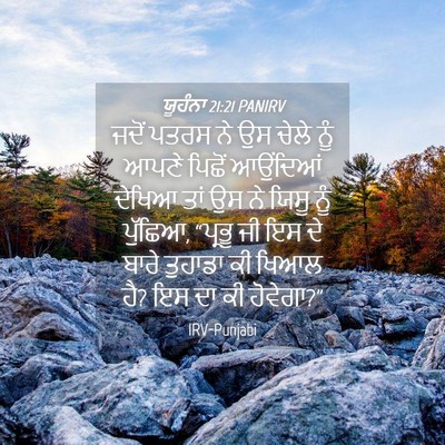Picture 04 - ਯੂਹੰਨਾ 21:21 PANIRV - ਜਦੋਂ ਪਤਰਸ ਨੇ ਉਸ - Bible Verse Picture