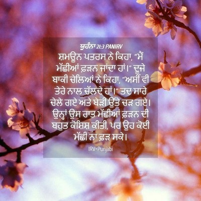 Picture 04 - ਯੂਹੰਨਾ 21:3 PANIRV - ਸ਼ਮਊਨ ਪਤਰਸ ਨੇ ਕਿਹਾ, - Bible Verse Picture