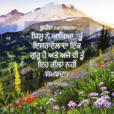 Picture 04 - ਯੂਹੰਨਾ 3:10 PANIRV - ਯਿਸੂ ਨੇ ਆਖਿਆ, “ਤੂੰ - Bible Verse Picture