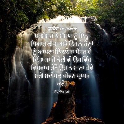 Picture 04 - ਯੂਹੰਨਾ 3:16 PANIRV - ਪਰਮੇਸ਼ੁਰ ਨੇ ਸੰਸਾਰ - Bible Verse Picture
