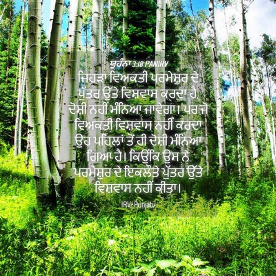 Picture 04 - ਯੂਹੰਨਾ 3:18 PANIRV - ਜਿਹੜਾ ਵਿਅਕਤੀ - Bible Verse Picture