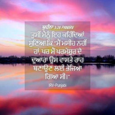 Picture 04 - ਯੂਹੰਨਾ 3:28 PANIRV - ਤੁਸੀਂ ਮੈਨੂੰ ਇਹ - Bible Verse Picture