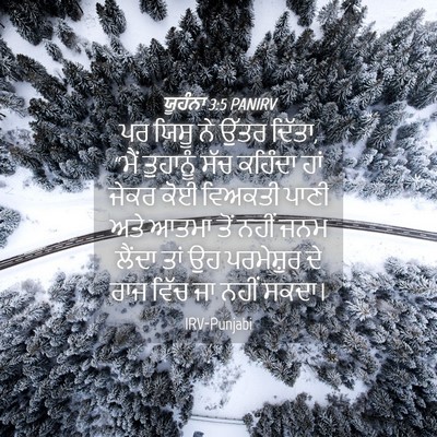 Picture 04 - ਯੂਹੰਨਾ 3:5 PANIRV - ਪਰ ਯਿਸੂ ਨੇ ਉੱਤਰ - Bible Verse Picture